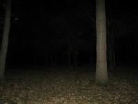Chicago Ghost Hunters Group investigates Robinson Woods (78).JPG